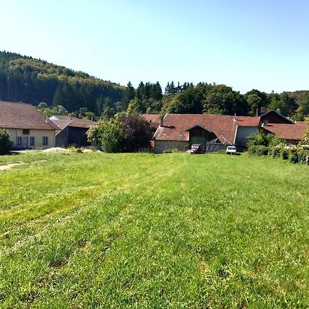 Gite Le Geleinfete II Vosges A Proximite De Gerardmer Herpelmont Екстер'єр фото